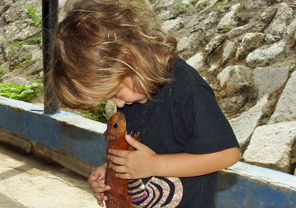 Squirrel and Girl Three year old face to face with a red squirrel